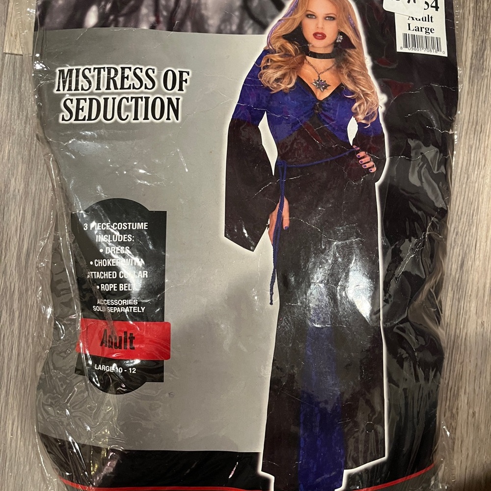 Mistress of Seduction Costume in Blue and Black